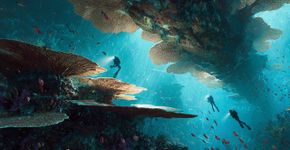 Coral gigante encontrado nas Ilhas Salomão tem idade da época de Napoleão e é visível por satélite