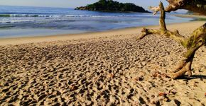Foto: (Divulgação/Setur-Guarujá)