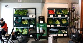 Comércio honesto vende produtos orgânicos pelo preço do produtor