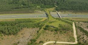 Construções que respeitam a natureza