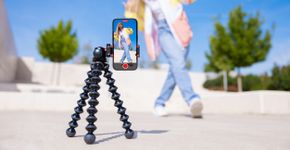 Foto: (iStock/grinvalds)