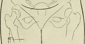 Veja 10 fatos sobre a vagina que você precisa saber