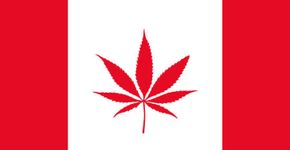 Em decisão histórica, Canadá aprova uso recreativo da maconha