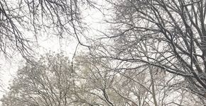 Inverno em Nova York: dicas para aproveitar melhor a cidade