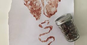 Bela Gil sobre comer placenta: ‘o que vale é a escolha da mulher’