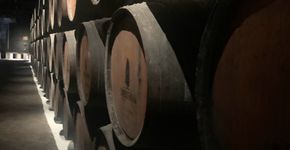 Saiba como visitar as caves de vinho do Porto, em Portugal