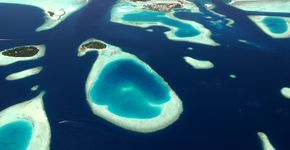Foto: (iStock)