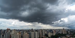 Foto: (Ranimiro Lotufo Neto/istock)