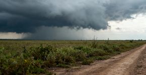 Por que algumas pessoas sentem cheiros antes de uma tempestade chegar?