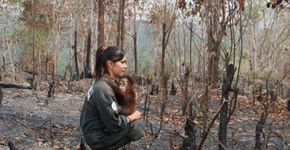 Foto: (One Green Planet)