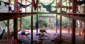 Economistas mudam de vida e criam espaço de convivência na floresta