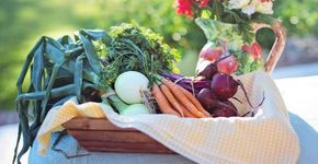 3 razões para consumir produtos orgânicos