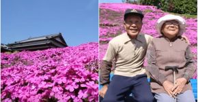 Marido planta milhares de flores para esposa com deficiência visual