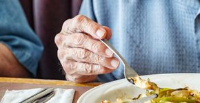 Foto: (iStock/Willowpix)