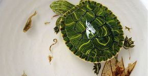 Artista cria pinturas 3D realistas feitas com camadas de resina