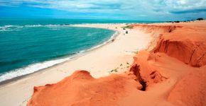 Foto: (Istock/OSTILL)