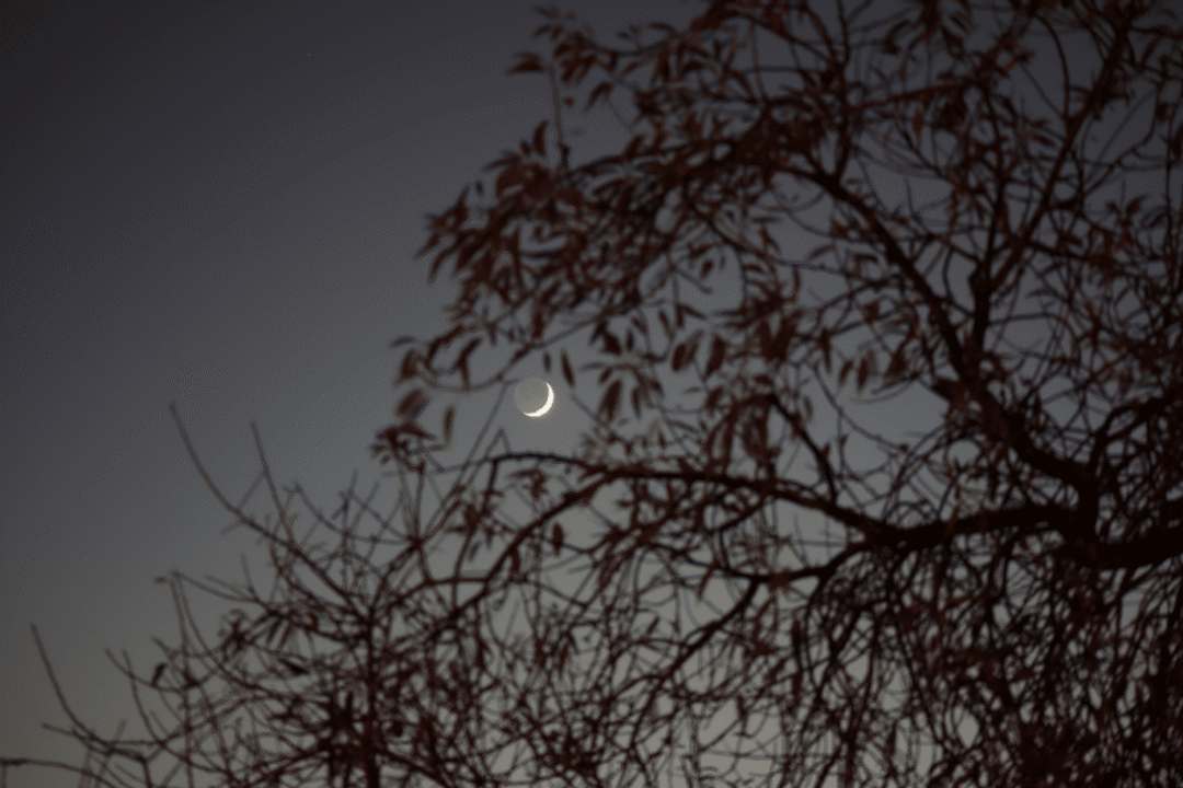 A Lua Minguante é mais bem observada entre o fim da madrugada e o começo da manhã (Imagem: Wirestock Creators | Shutterstock)