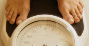 Avaliação Nutricional – UNIP Clínica Pompeia