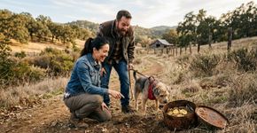 Casal passeia com o cachorro na própria propriedade, pensa ter visto uma lata enferrujada e encontra 1.427 moedas de ouro enterradas, tesouro de 1847 a 1894 avaliado em cerca de R$ 55 milhões É o Saddle Ridge Hoard, achado na Califórnia em 2013 e considerado o maior tesouro de moedas já encontrado nos Estados Unidos. Mesma mecânica narrativa: gesto trivial, interpretação equivocada, descoberta extraordinária.
