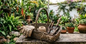 Uma cesta de frutas quebrada pode ganhar uma função inesperada longe da cozinha
