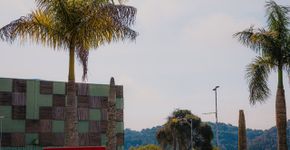 1º Oriental Festival será promovido neste domingo em Ribeirão Pires