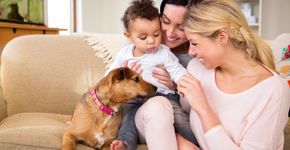 Mulheres lésbicas e mães falam do preconceito que enfrentam
