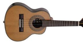 Aprenda a tocar cavaquinho sem sair de casa