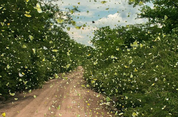 Bolívia - Imagem: Steffen Reichle