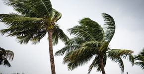 Foto: (Suparna Hazra/istock)