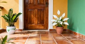 Os melhores lugares da casa para colocar plantas segundo o Feng Shui