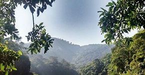 Açude do Camorim: um encontro na Amazônia carioca