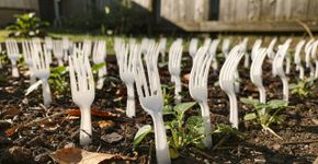 Colocar garfos de plástico no jardim: para que servem e por que são recomendados