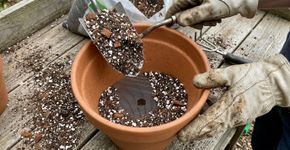 Colocar pedras no fundo do vaso parece ajudar, mas pode piorar a drenagem: universidade explica o detalhe que muda o caminho da água