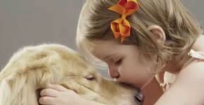 Empresa permite que clientes comprem ração e ajudem animais abandonados