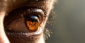 Foto: (DigitalSoul/istock)