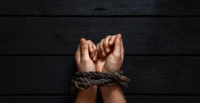 Foto: (Victoria Kotlyarchuk/iStock)