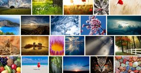 Site tem mais de 350 milhões de fotos incríveis para baixar de graça