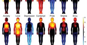 Cientistas mapeiam as emoções no corpo humano