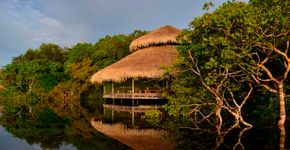 Lodge leva hóspedes para dormir na floresta amazônica