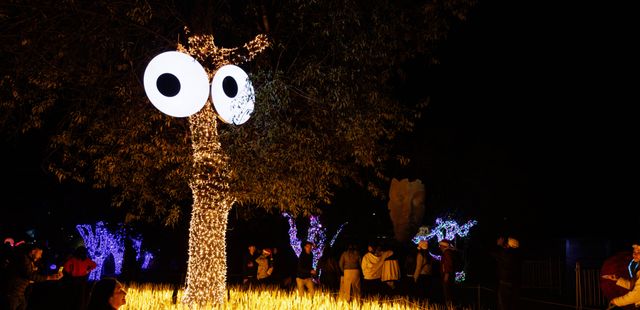 Festival Brilha Sonhos