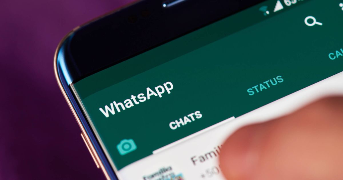 Aba específica do WhatsApp ganha novo visual; veja como vai ficar