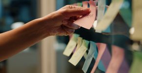 Foto: (Bevan Goldswain/iStock)