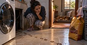Moradora começa a encontrar pequenas pegadas de barro dentro da lavanderia sempre depois da chuva, culpa o cachorro por semanas e descobre que outro visitante entrava por uma abertura atrás do tanque