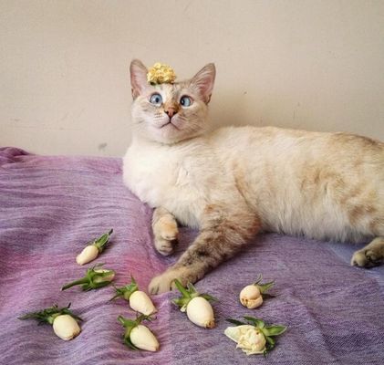 Reprodução / Instagram