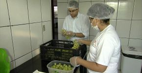Pesquisa traça perfil dos empreendedores do Brasil