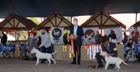 Ribeirão Pires fará Expo de cães neste fim de semana
