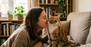 Por que não é exatamente certo encher os gatos de beijos, mesmo que os amemos?