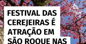 Festival das Cerejeiras é destaque em São Roque nas férias