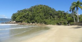 Foto: (Divulgação/Prefeitura de Ubatuba)