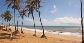 Nordeste: 5 motivos para conhecer a Bahia